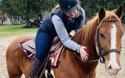 petercropped- horse adoption